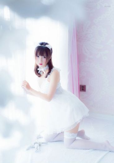 法与情